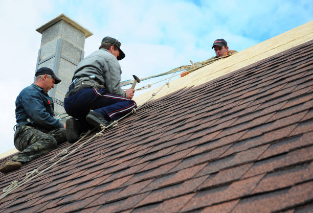 Best Best Roofing Contractors  in Guntown, MS
